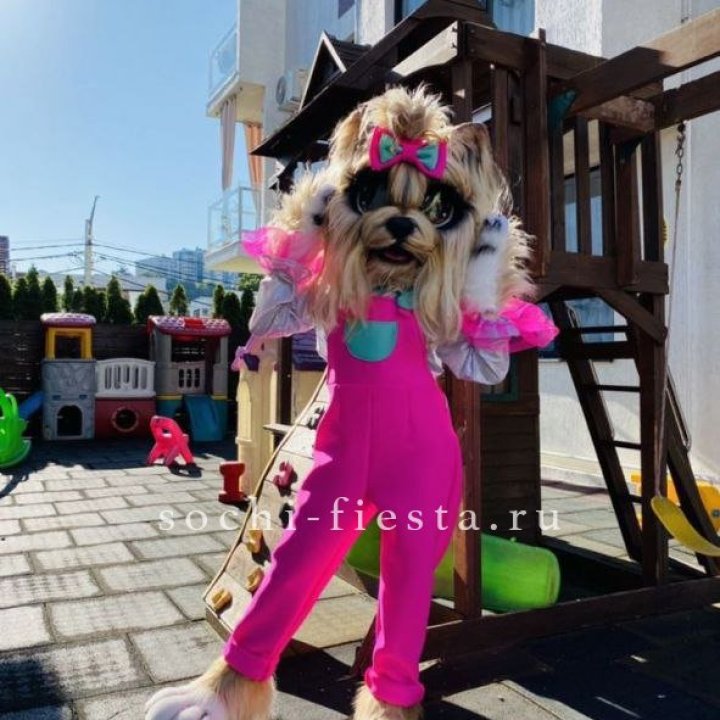 Аниматор Гламурная Собака в Екатеринбурге
