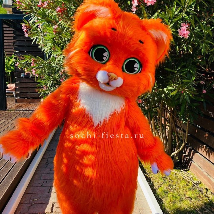 Аниматор Котик в Екатеринбурге