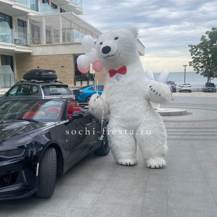 Аниматор Белый Медведь в Екатеринбурге