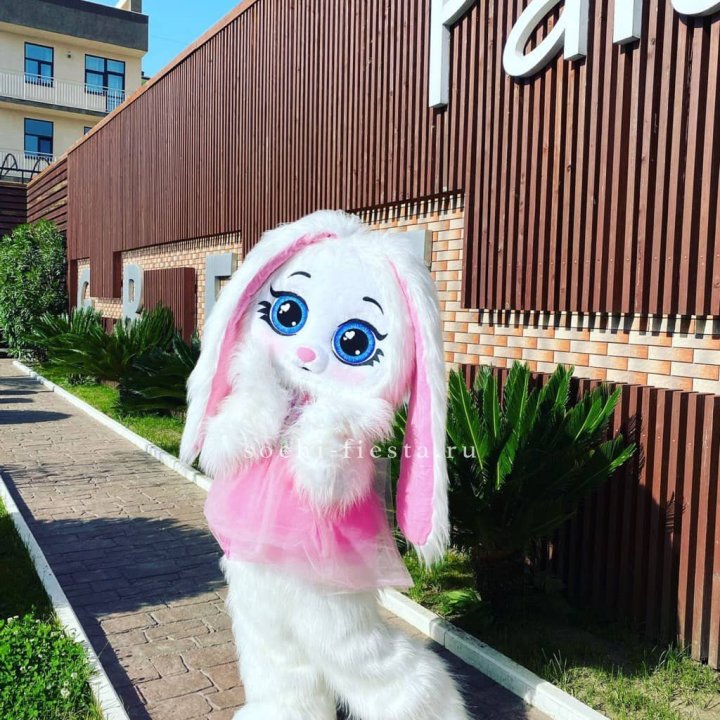 Аниматор Зайка в Екатеринбурге