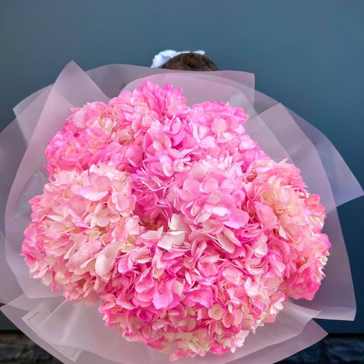 9 ярко розовых гортензий в Екатеринбурге