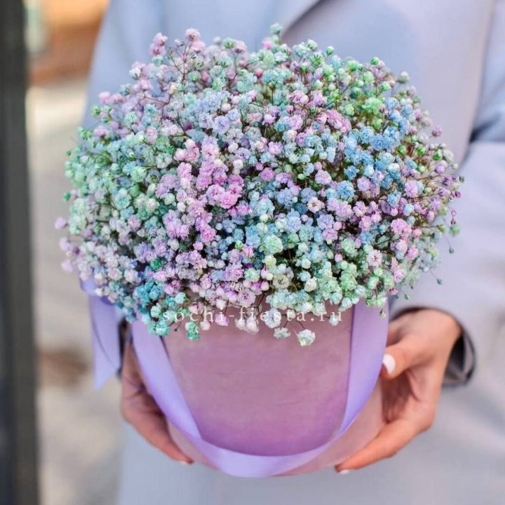 Гипсофилы в шляпной коробке "Кандилайт" в Екатеринбурге