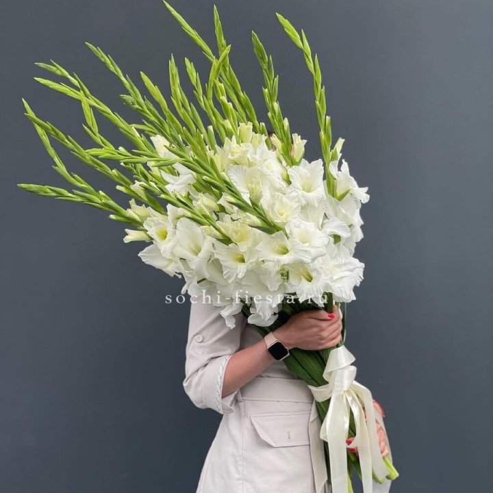 19 белых гладиолусов под ленту в Екатеринбурге