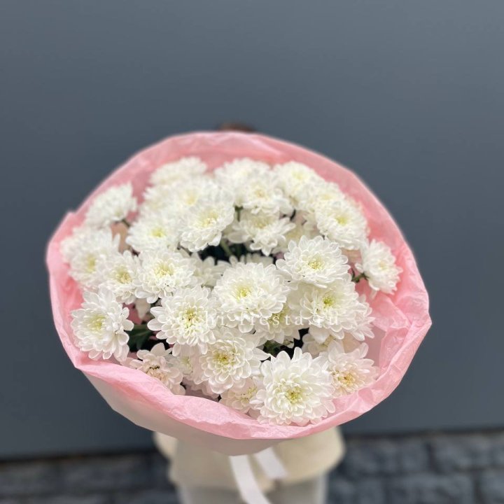  5 хризантем  в Екатеринбурге