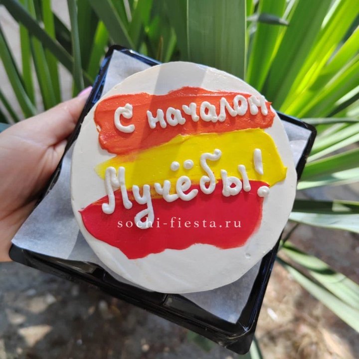 Бенто-торт "С началом учёбы"" в Екатеринбурге