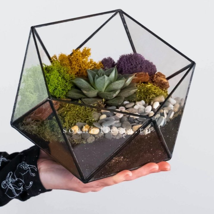 Флорариум “Икосаэдр” с суккулентом Каменная Роза в Екатеринбурге