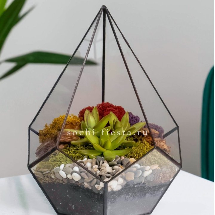 Флорариум Капля с суккулентом в Екатеринбурге