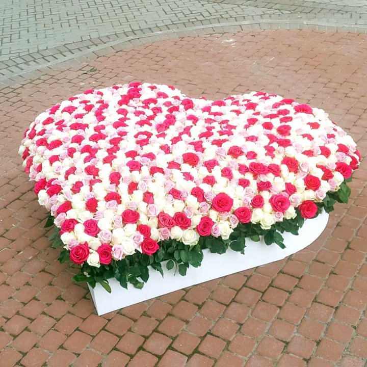 555 роза  в Екатеринбурге