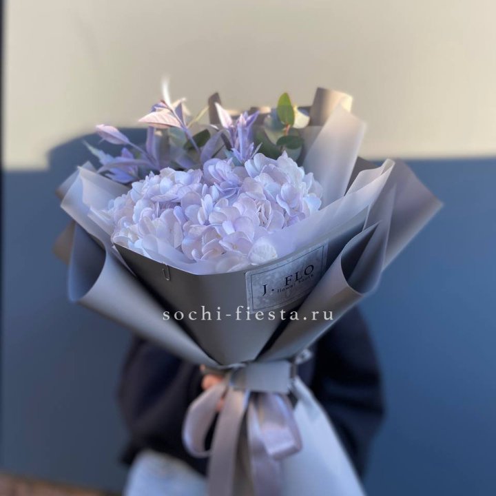 Гортензия "Виолета" в Екатеринбурге
