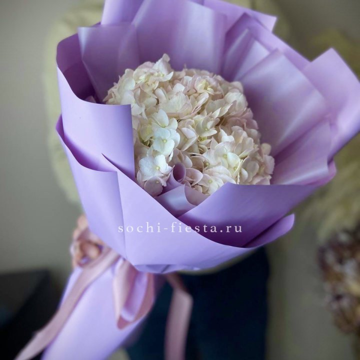 Гортензия розовая в Екатеринбурге