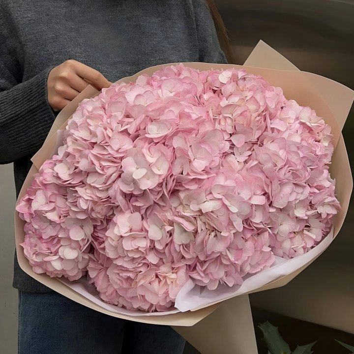 Гортензия  "РОЗЕ" в Екатеринбурге