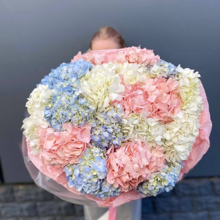 19 гортензий микс в Екатеринбурге