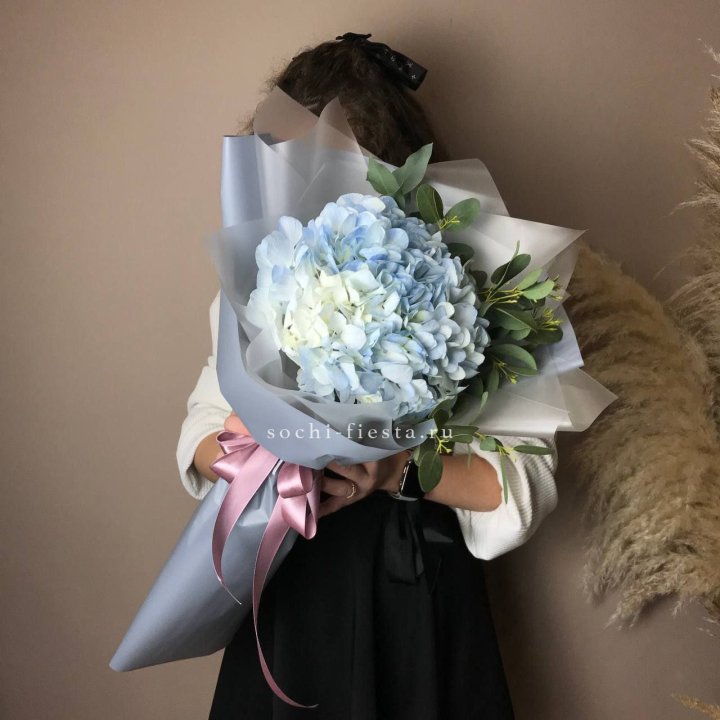 Гортензия Уно в Екатеринбурге