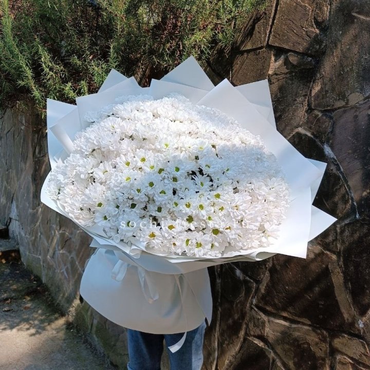 Облако хризантем №2 в Екатеринбурге