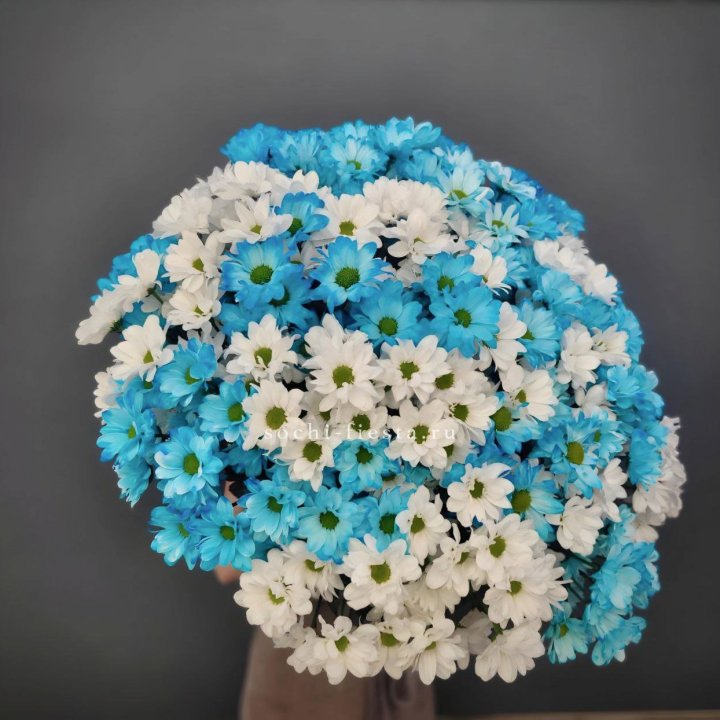  Букет хризантем микс в Екатеринбурге