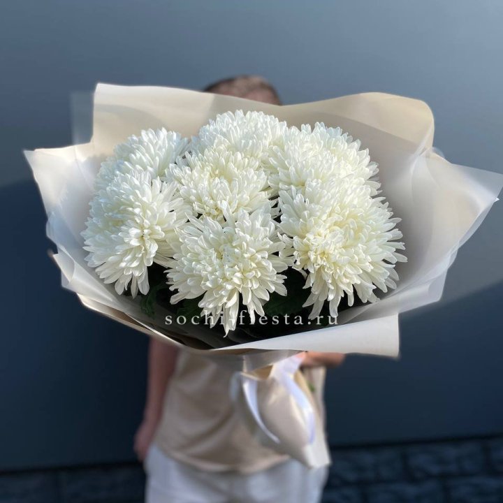 Профитроли в Екатеринбурге