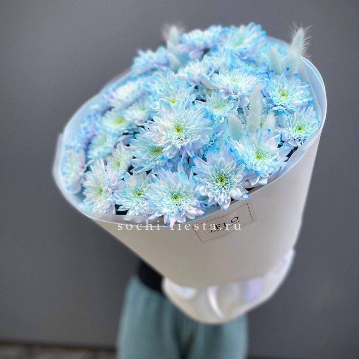  Букет нежно-голубых хризантем  в Екатеринбурге