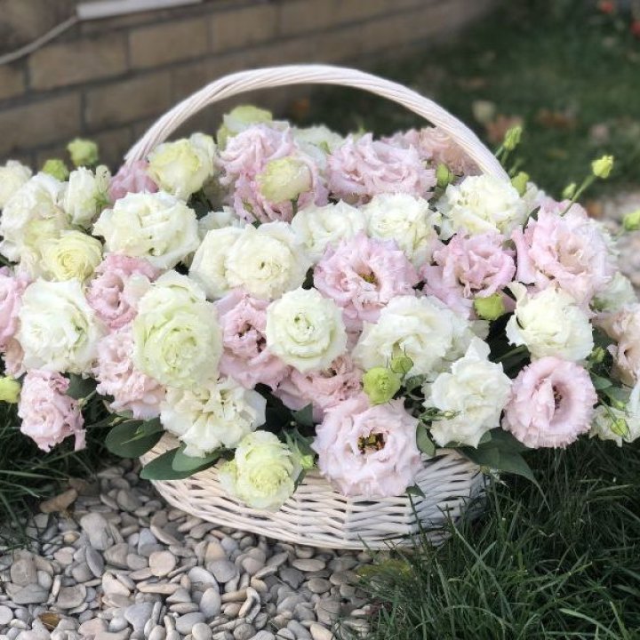 Корзина с эустомой в Екатеринбурге