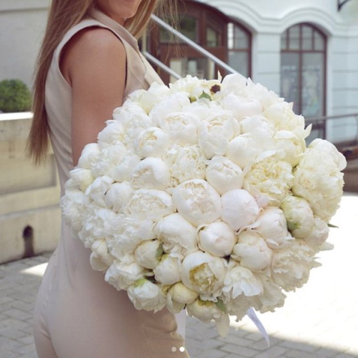 51 белый пион в Екатеринбурге