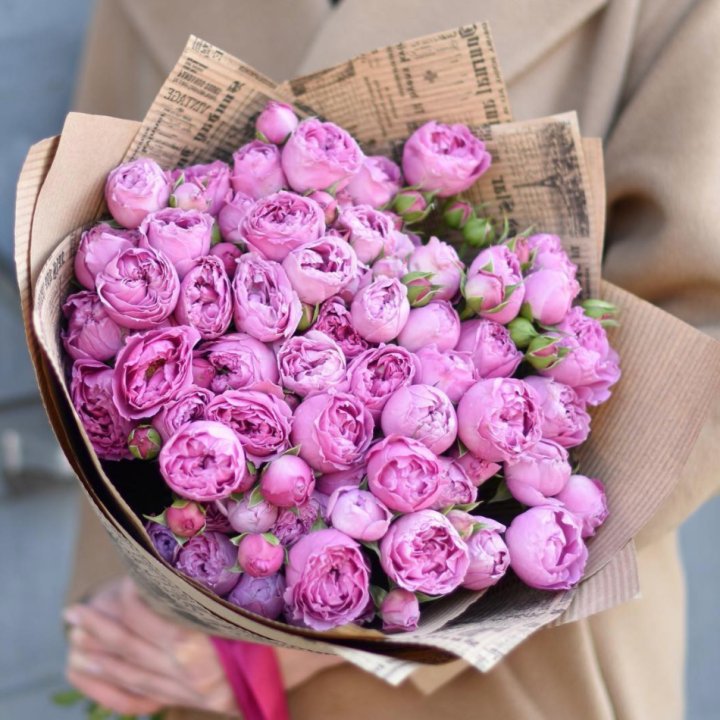 Роза Мисти Баблс в Екатеринбурге