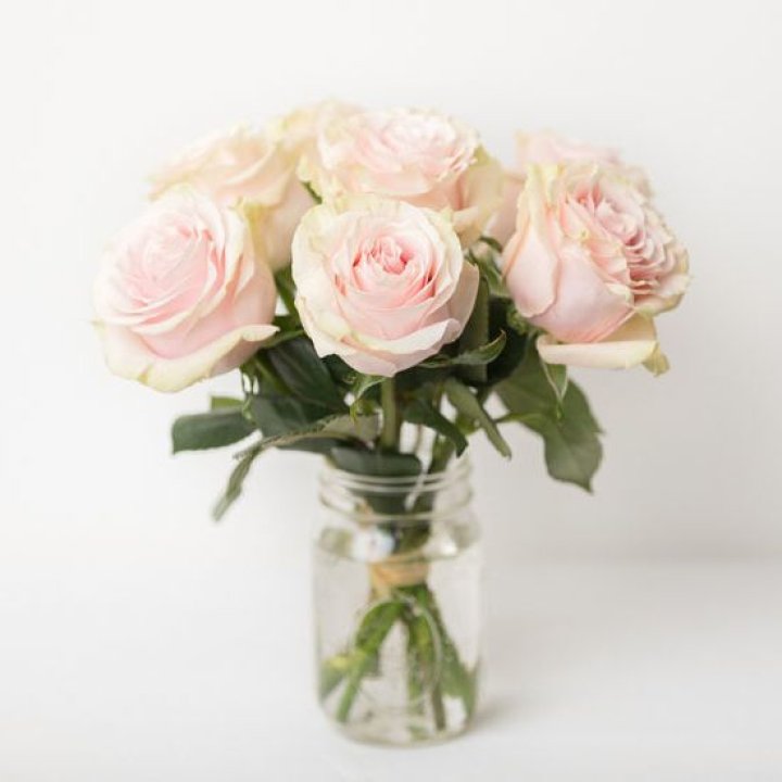 7 кремовых роз в Екатеринбурге