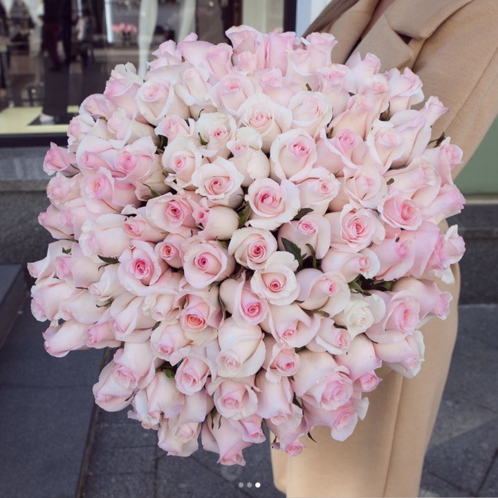 Розы "Пинк бум" в Екатеринбурге