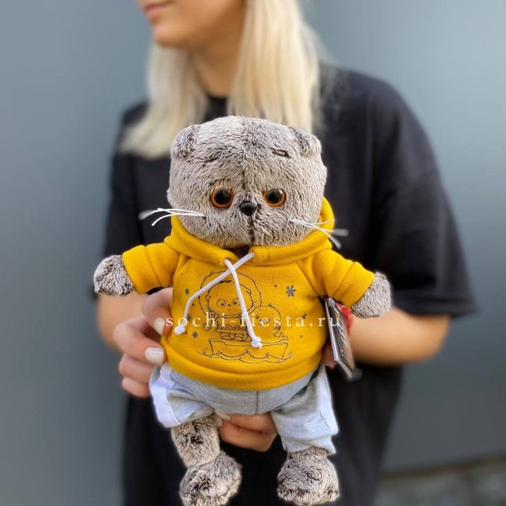 Кот Басик в худи в Екатеринбурге