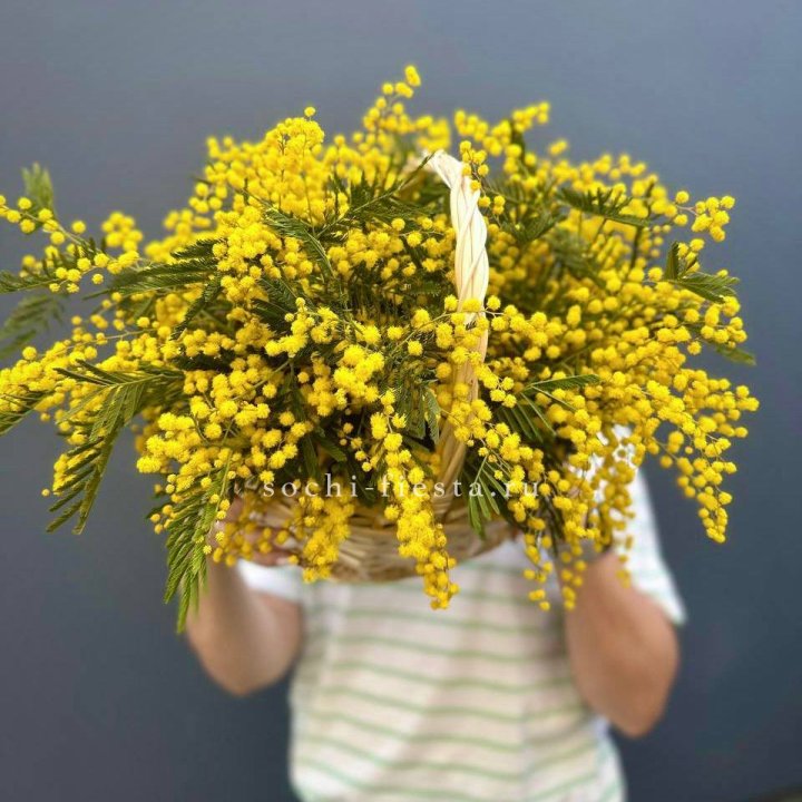 Весенняя корзина мимозы в Екатеринбурге