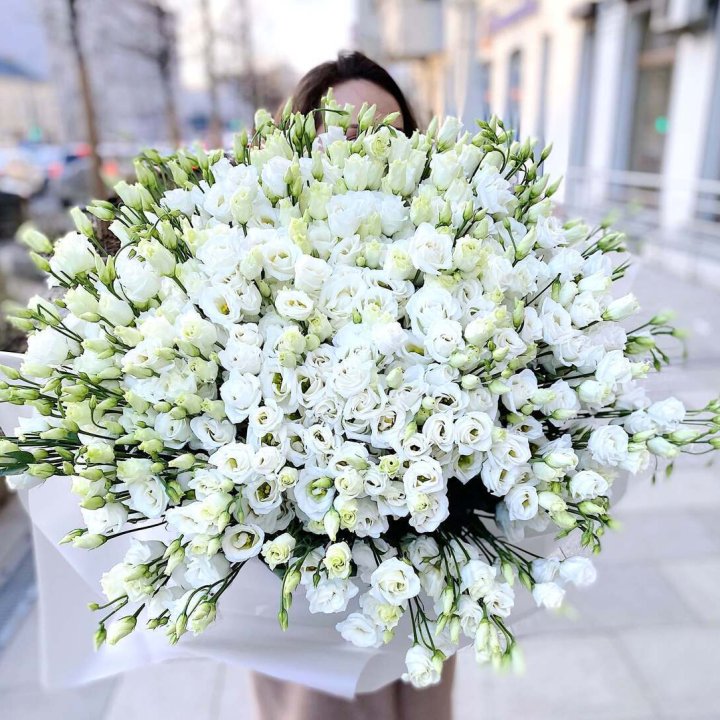 101 белая эустома в Екатеринбурге