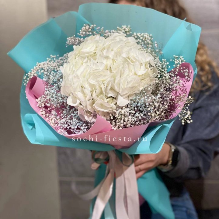 Гортензия "Райдов" в Екатеринбурге