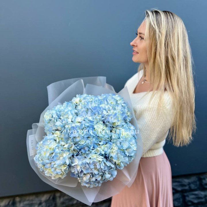 7 голубых гортензий в Екатеринбурге