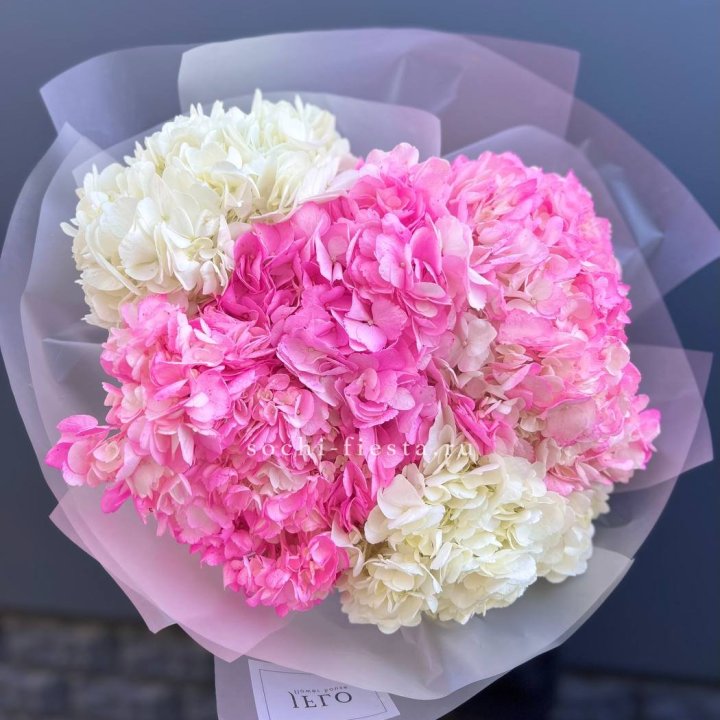 5 бело-розовых гортензий в Екатеринбурге