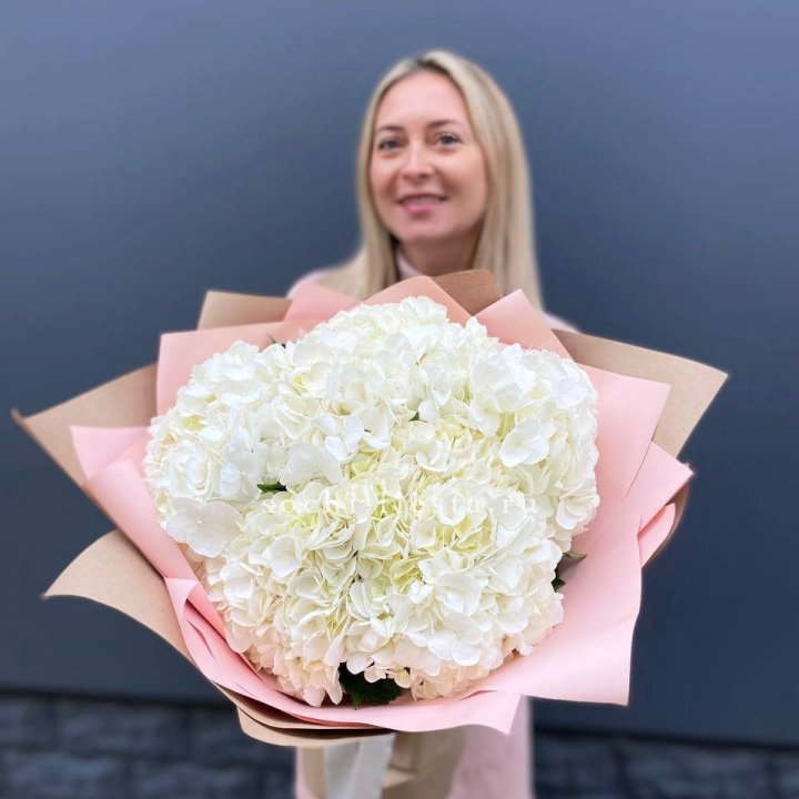 Гортензия белая в Екатеринбурге