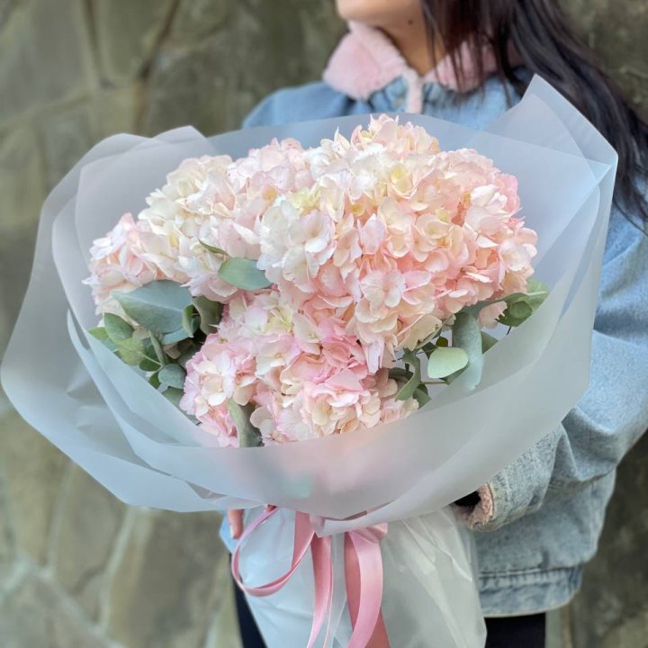 5 розовых гортензий в Екатеринбурге