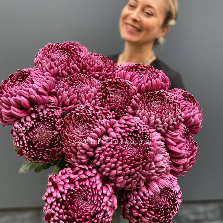 Охапка хризантем Бигуди в Екатеринбурге