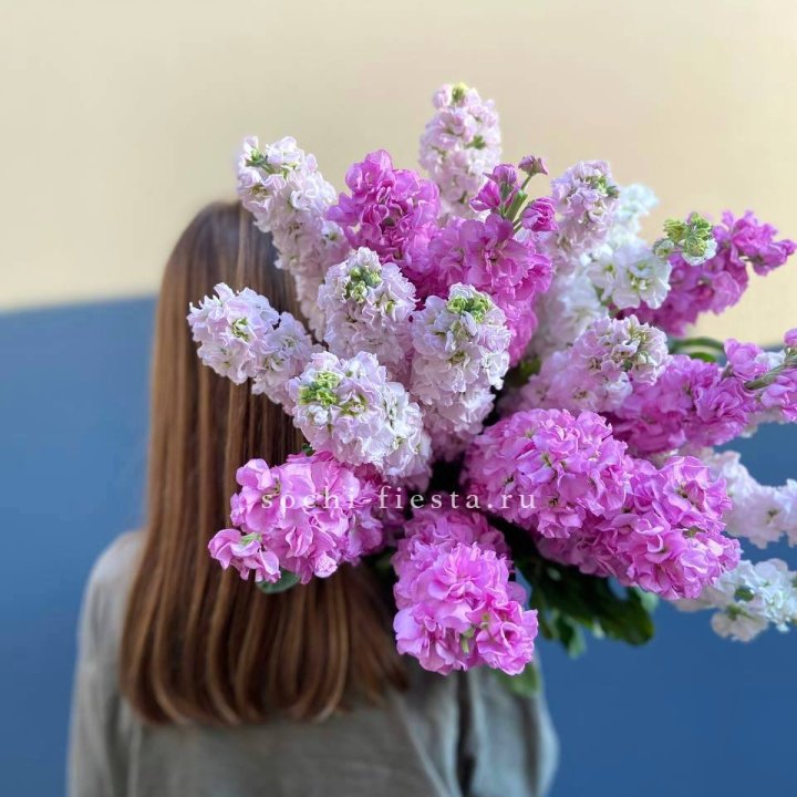 Охапка маттиолы в Екатеринбурге