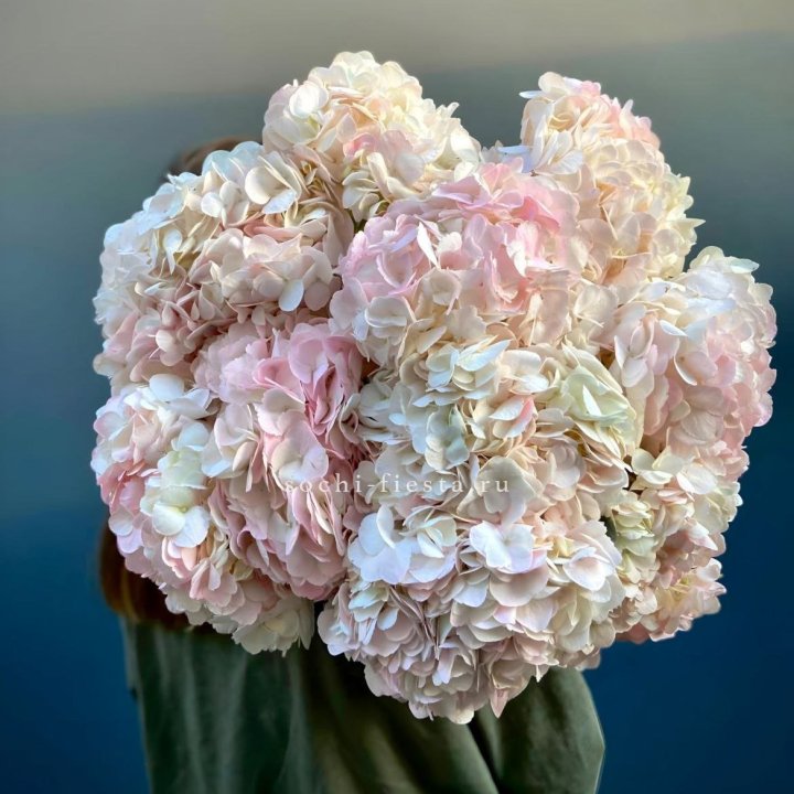 Охапка розовой гортензии в Екатеринбурге