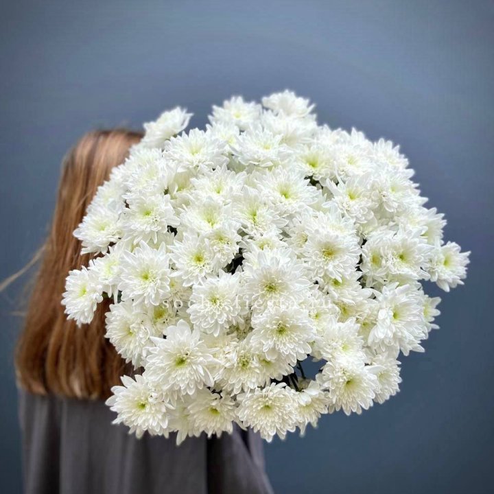 Охапка Хризантемы кустовой в Екатеринбурге