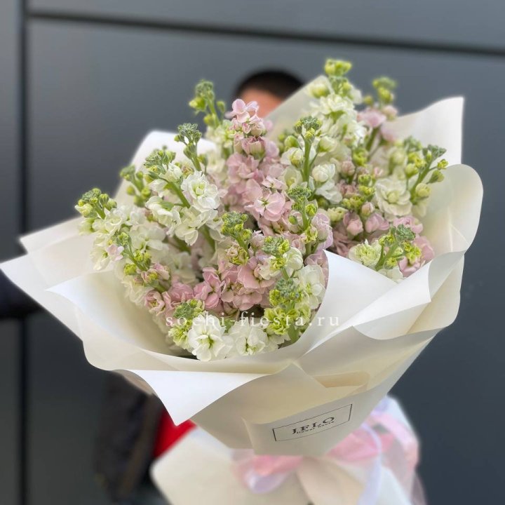 29 маттиол  в Екатеринбурге