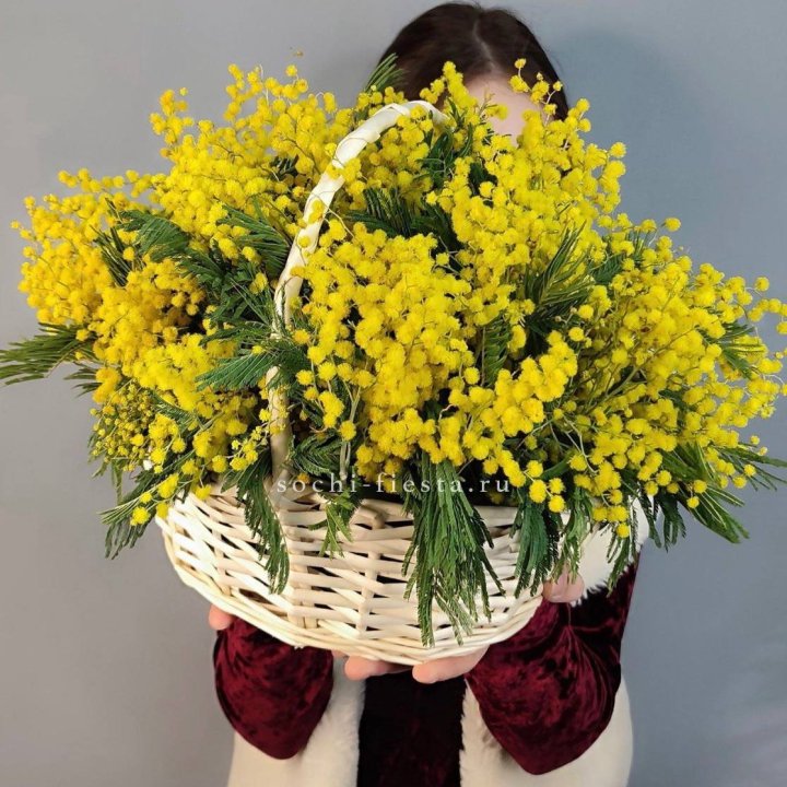 Корзина ароматной мимозы в Екатеринбурге