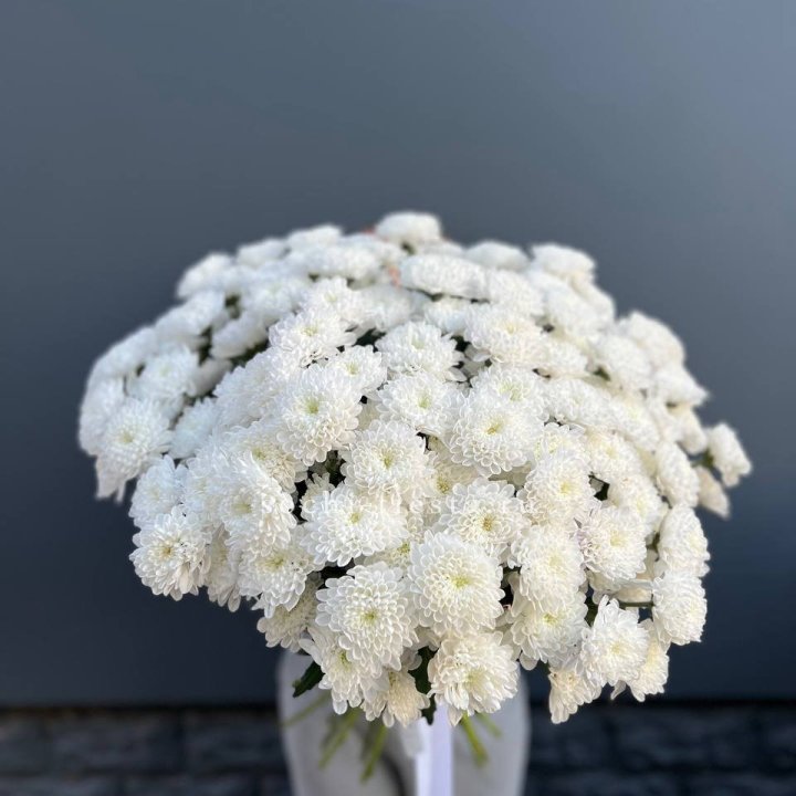  25 хризантем белых в Екатеринбурге