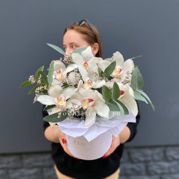 7 орхидей в боксе в Екатеринбурге