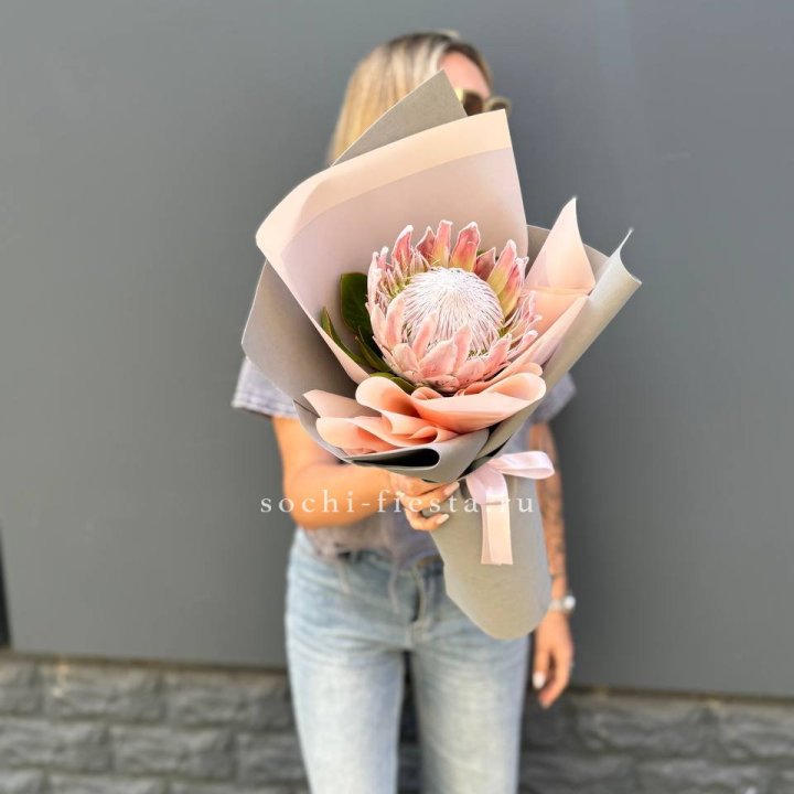 Протея мини  в Екатеринбурге