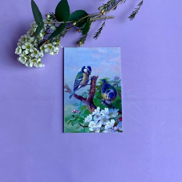 Открытка к букету "Птицы" в Екатеринбурге