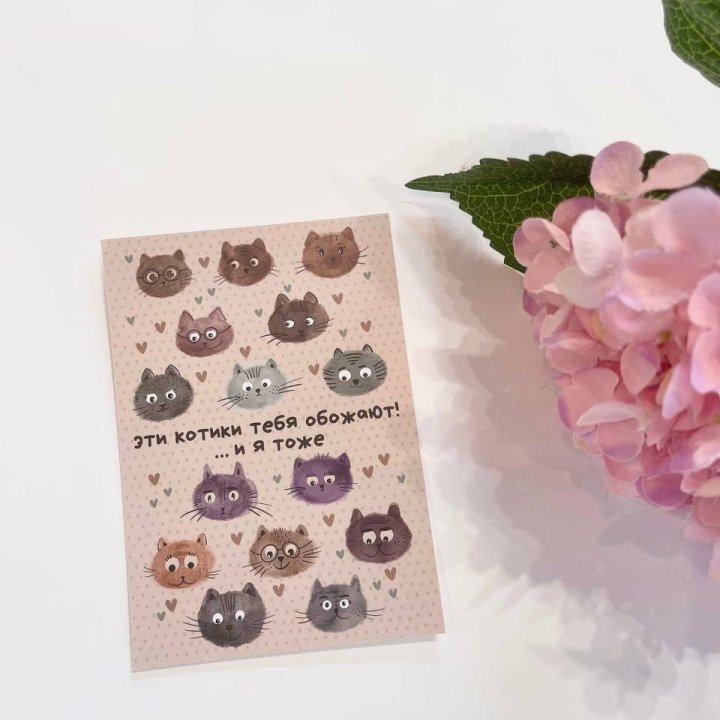 Открытка к букету "Котики" в Екатеринбурге