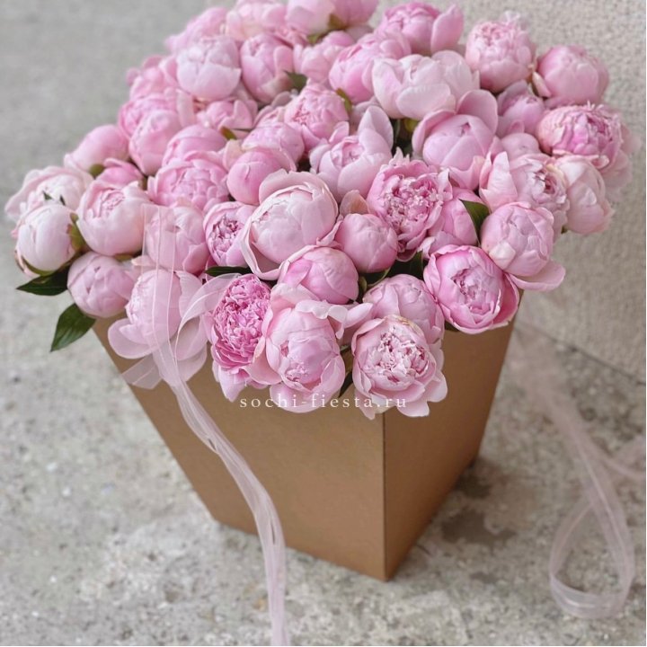 49 пионов в крафт коробке в Екатеринбурге