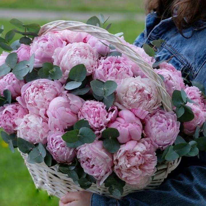 51 пион в корзине в Екатеринбурге