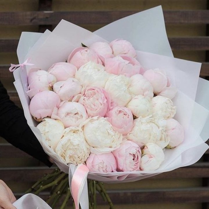 29 пионов в Екатеринбурге