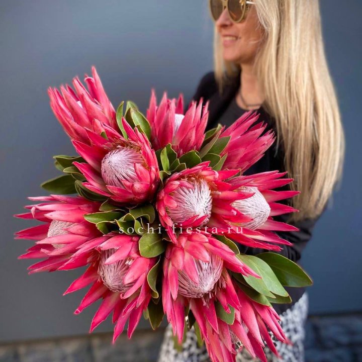 Протея штучно в Екатеринбурге