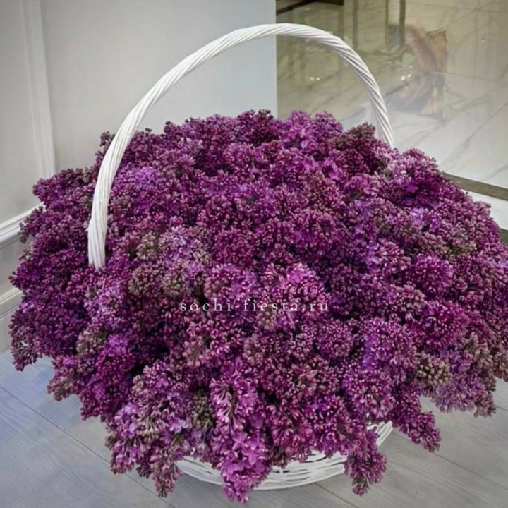 Корзина сирени в Екатеринбурге